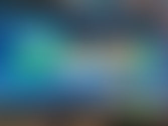 Tech4Nature Mexico presents preliminary results of jaguar conservation at Huawei Cloud Summit 2022