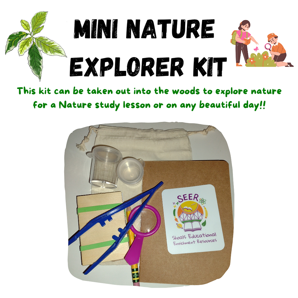 Mini Nature Explore Kit Shoals Educational E
