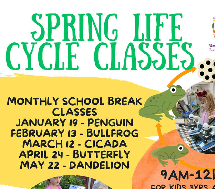 life cycle (45)_edited.jpg