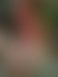 HI everyone, I am Hope!