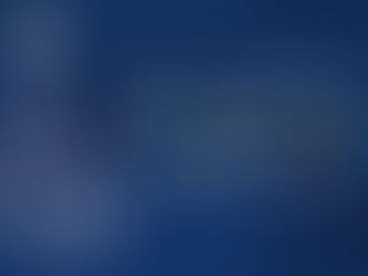 Merry Christmas & Happy New Year!