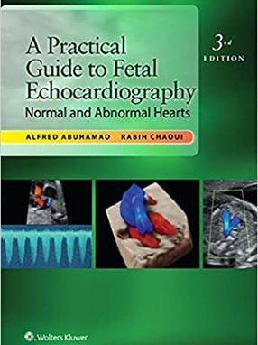 [2016] A Practical Guide to Fetal Echocardiography: Normal and Abnormal Hearts