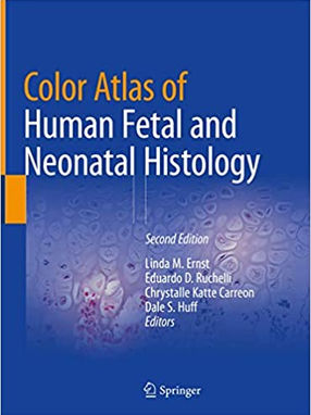 [2019] Color Atlas of Human Fetal and Neonatal Histology 2nd ed.