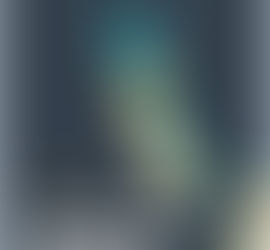 [2020] Dentofacial Esthetics: From Macro to Micro 