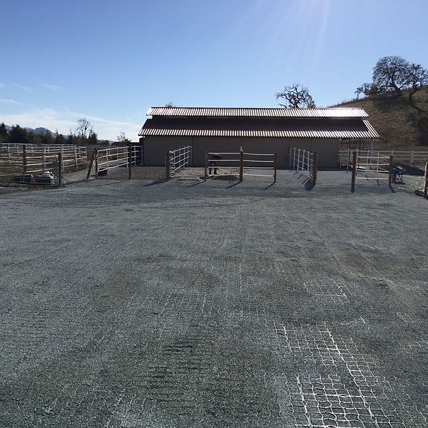 Ecoraster installation progress