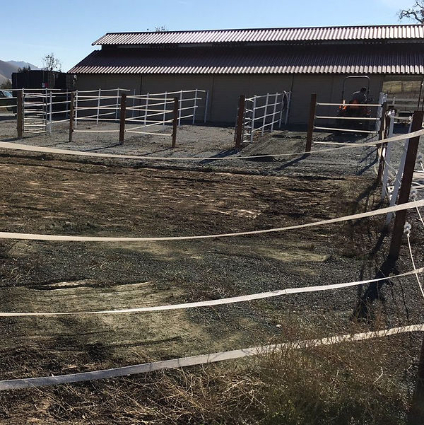 Ecoraster installation progress