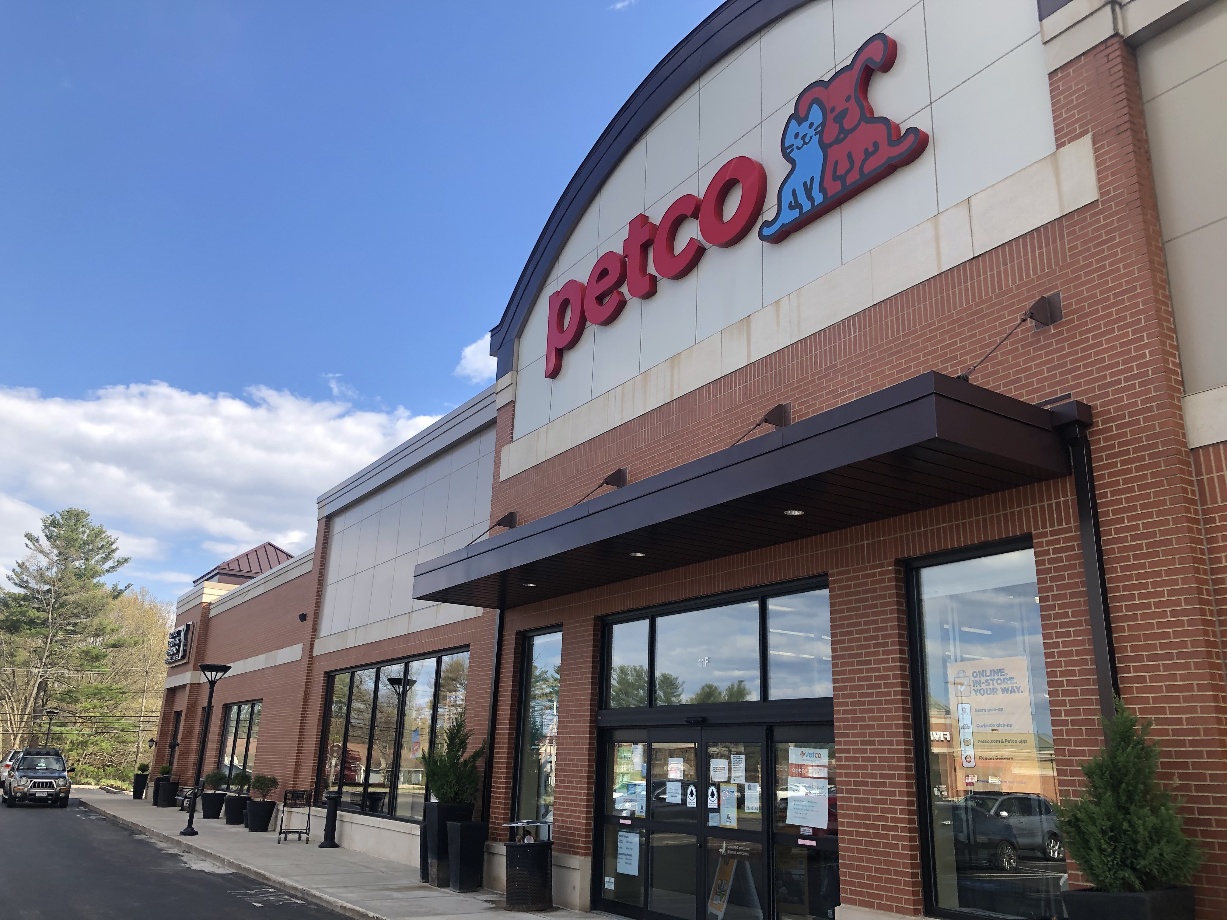 Westford MA Petco