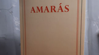 Novo livro do Acadêmico Sócrates Nolasco: "Amarás"