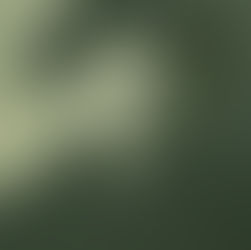 Uns versos de Fernando Pessoa sobre o espanto