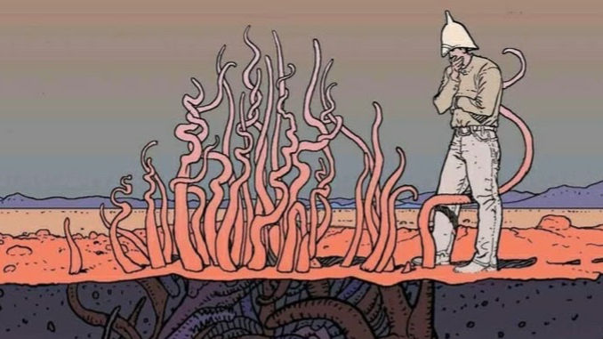 A supremacia do notado e a relevância de toda proposição