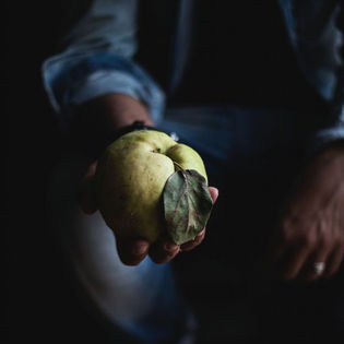 O mandamento da escolha (trecho do livro Diário místico)
