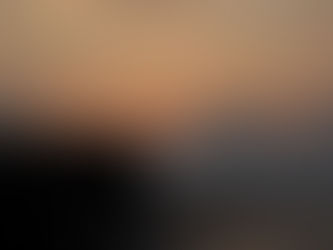 Vida e brilho da vida