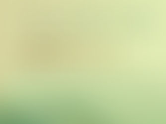 200 da Independência | A Transição Colônia-Império: Arno Wehling e Edgard Leite