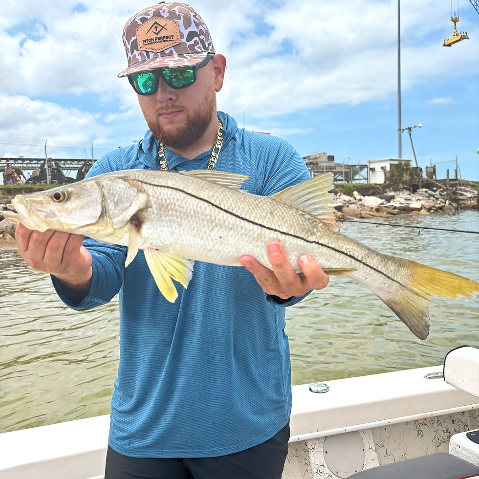 June Fishing Adventures in Tampa Bay Catch Redfish Snook Trout and Snapper