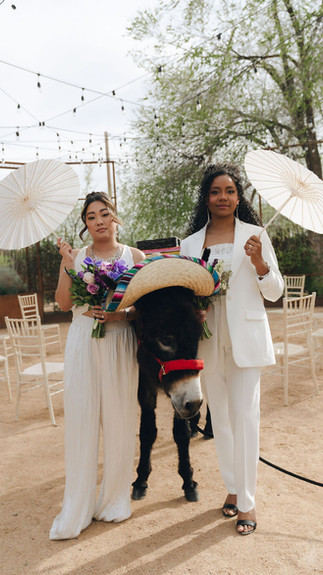 Bridal models pose with tequila donkey during styled shoot for Santa Fe wedding.