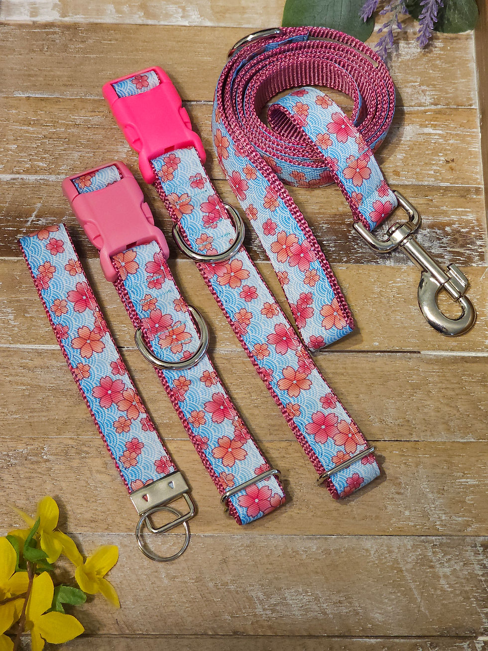 Thumbnail: Pink April Blossoms Leash