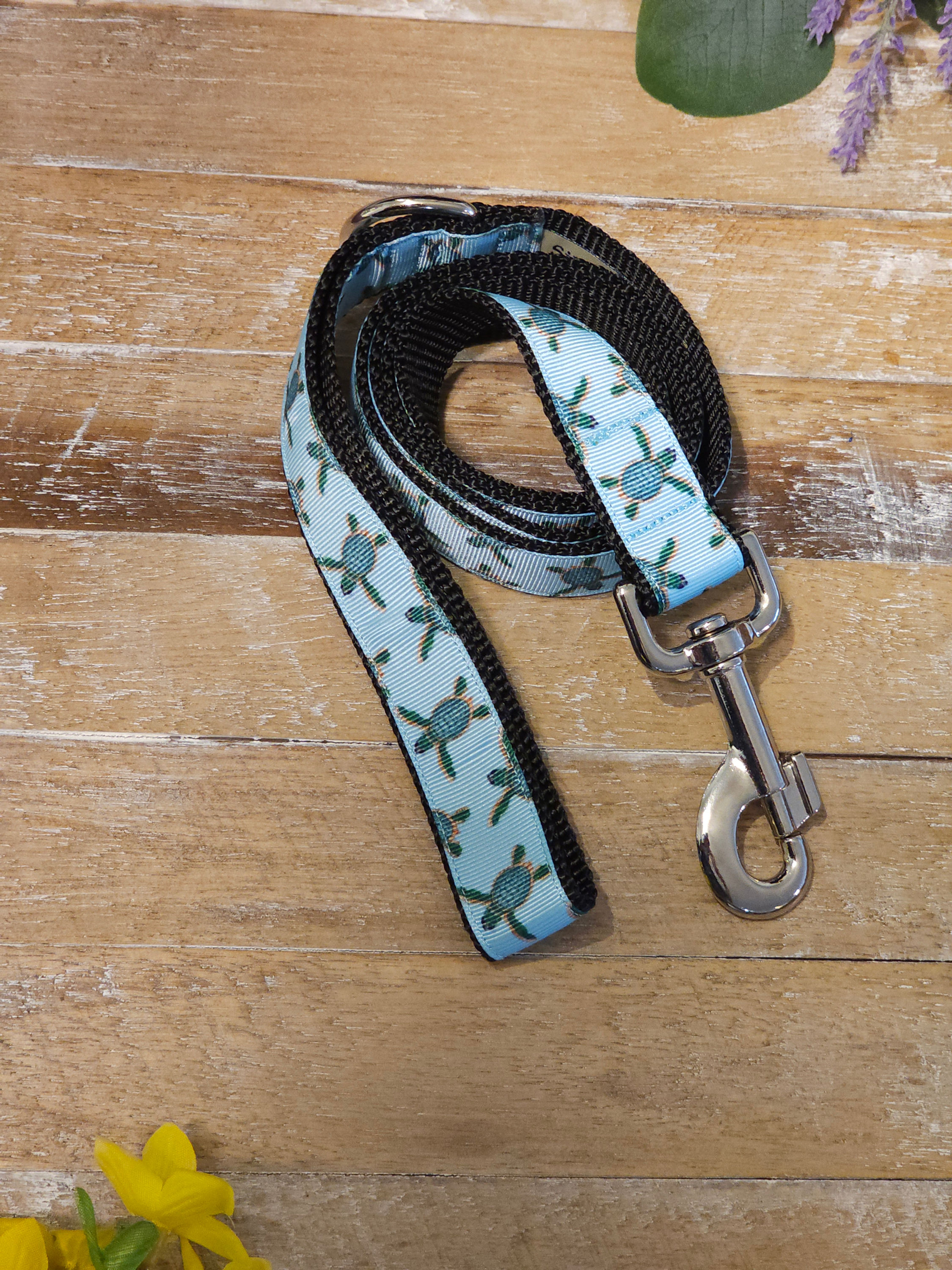 Green Sea Turtles Leash