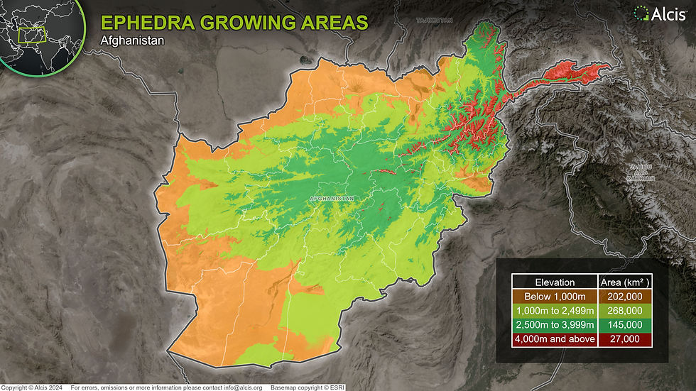 Alcis product showing ephedra growing areas in Afghanistan