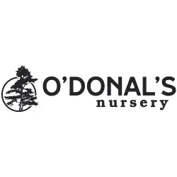 odonals-nursery.webp