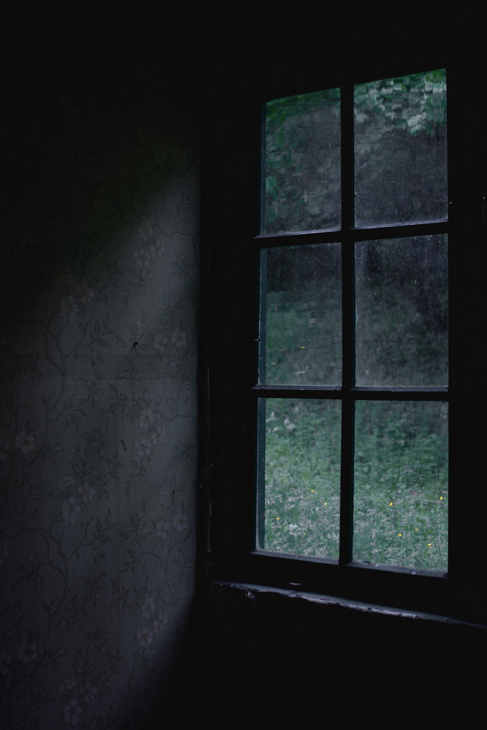 window
