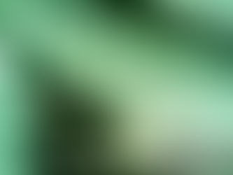 Anandamida: ¿qué es esta sustancia?