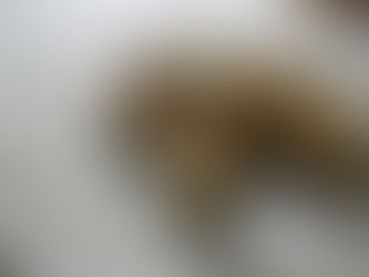 6 beneficios de las semillas de cáñamo probados científicamente