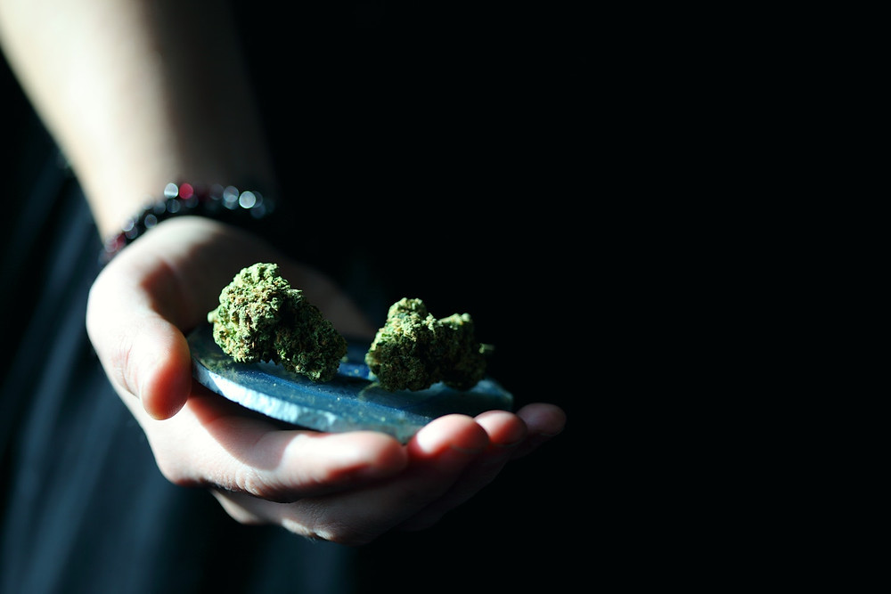 cbdmex.com