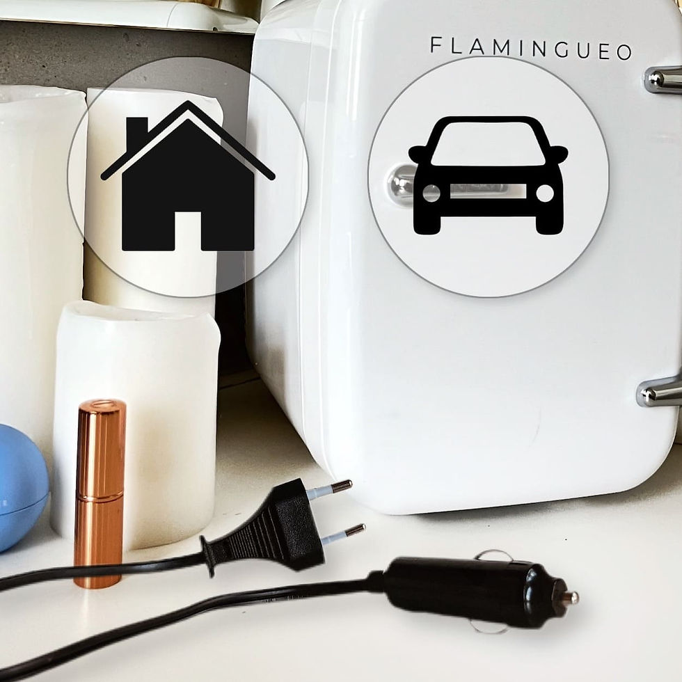 Thumbnail: Flamingueo Brienne - Mini Fridge Portable Retro White 4L