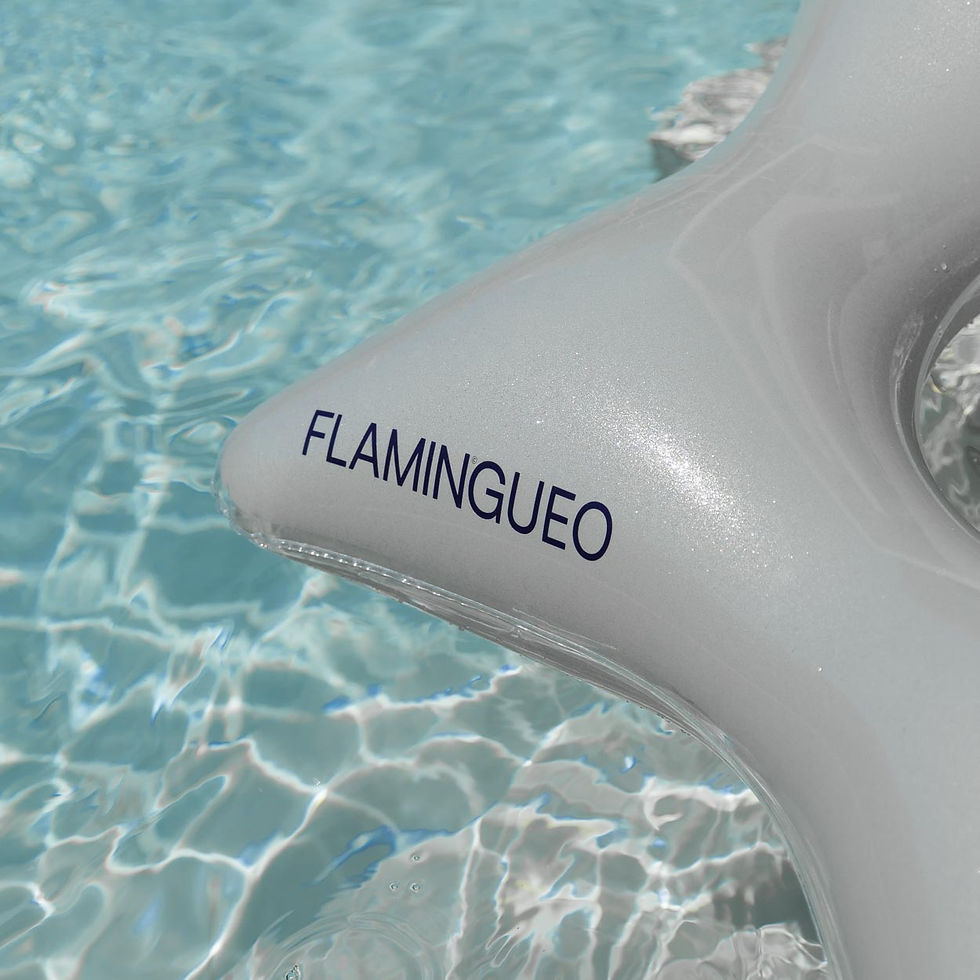 Thumbnail: Vega - Silver Star-Shaped Donut Floatie