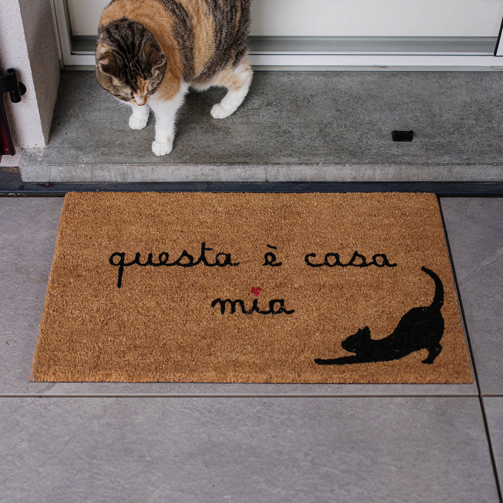 Simple Day Doormat Questa e Casa Mia Gatto