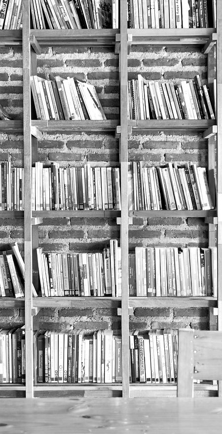 A black and white photo of books on a library shelf. The image is for factual pages. It is a non-fiction book review blog