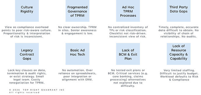 TPRM Challenges for CUs.jpg