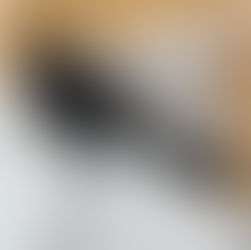 SHARK FACTROY X2 SERVICE