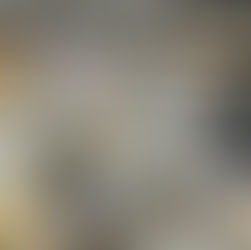 The SR Suntour Triair2 parts