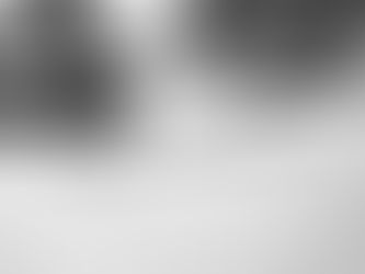 A gavel rests near a document titled "Surveillance" in focus. A blurred office setting, with a small plant in the background. Black and white.