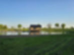View From the Sand