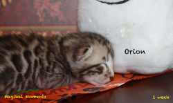 1 week ~ Oct 28