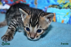 3 weeks ~ March 22