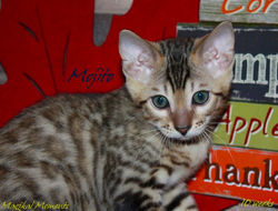 10 weeks ~ Oct 8