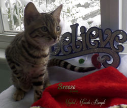 Dec 18 ~ 12 weeks