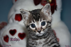 6 weeks ~ Nov 24
