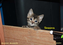 5 weeks ~ Oct 28