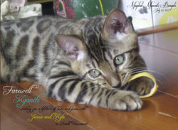 Farewell, Kyan....lots of love!