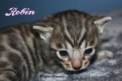 3 weeks ~ Nov 11