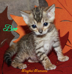 5.5 weeks ~ October 5