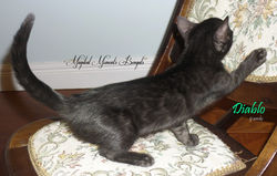 Nov 25 ~ 9 weeks