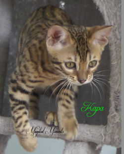 Aug 30 ~ 12 weeks
