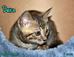7 weeks ~ August 17