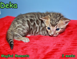3 weeks ~ July 17