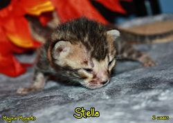 2 weeks ~ Nov 18